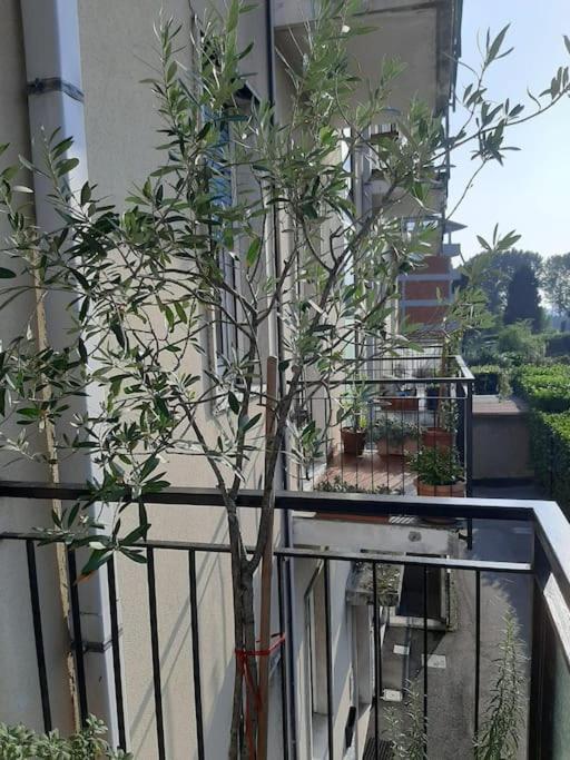 科莫Mice Ottima Soluzione Per Il Centro E La Svizzera公寓 外观 照片